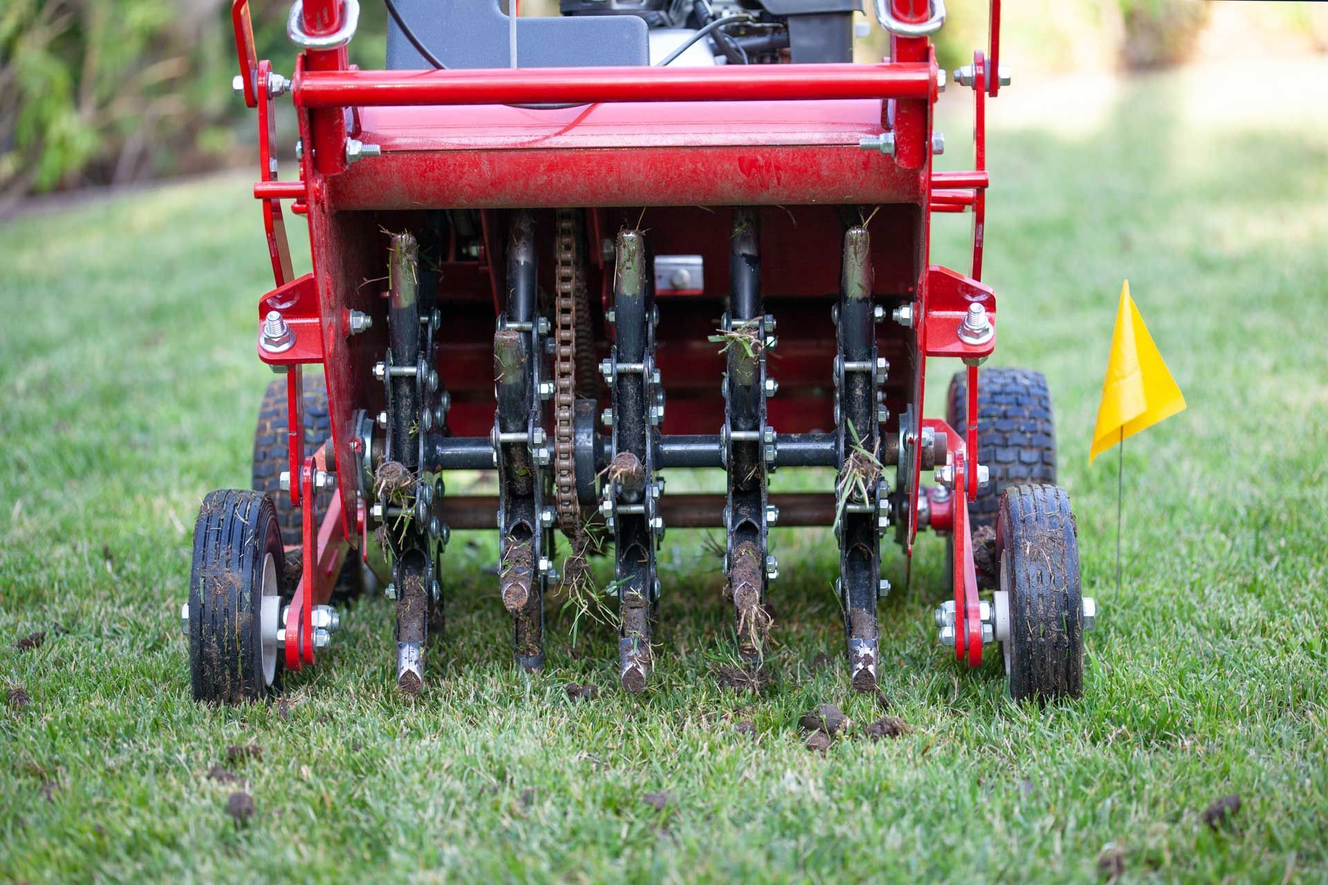 Red lawn aerator on green grass, extracting soil cores. Yellow flag in the background.