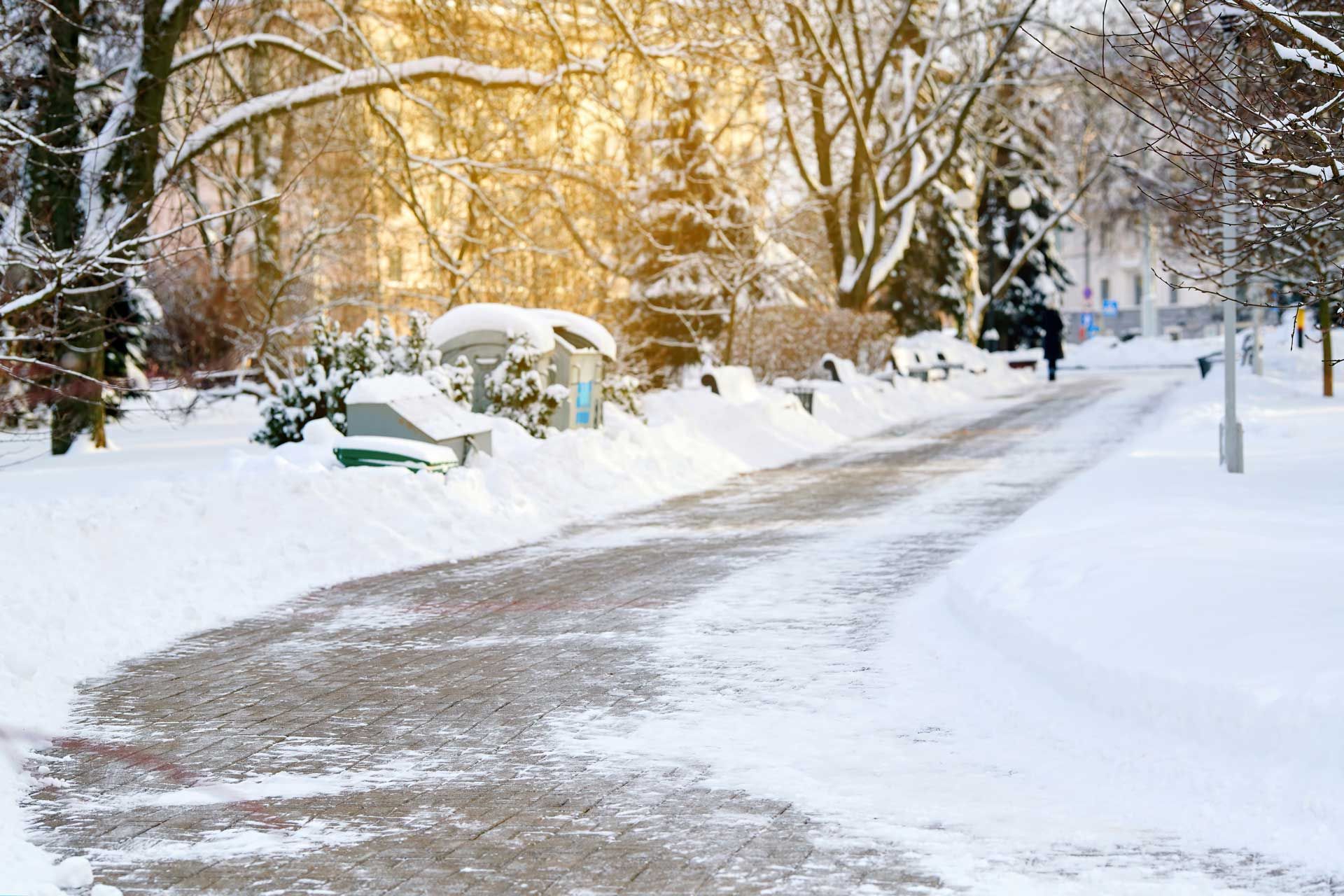 Snowy park path with a person walking in the distance, surrounded by snow-covered trees and bushes.
