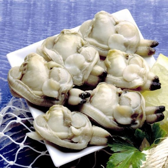 Un pequeño plato blanco contiene varias almejas crudas y limpias, dispuestas junto a una rodaja de limón y perejil fresco sobre una superficie azul.