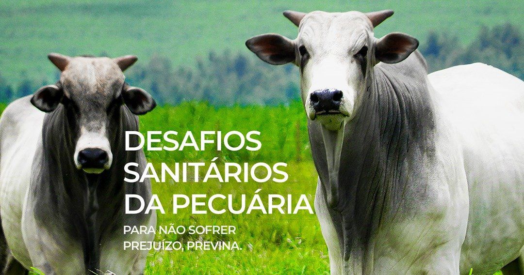 DESAFIOS SANITÁRIOS DA PECUÁRIA NÃO SOFRA PREJUIZO