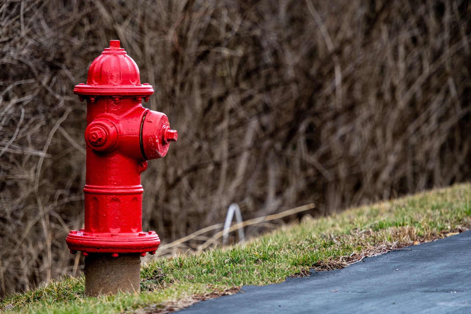Red fire hydrant on grassy edge of asphalt, with brown brush in the background.