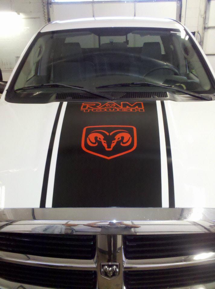 vinyl stripes lake city