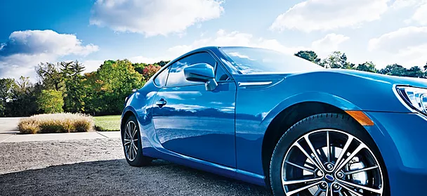 paint protection lake city