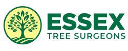 essex tree surgeons