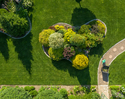 tree and garden maintenance services essex