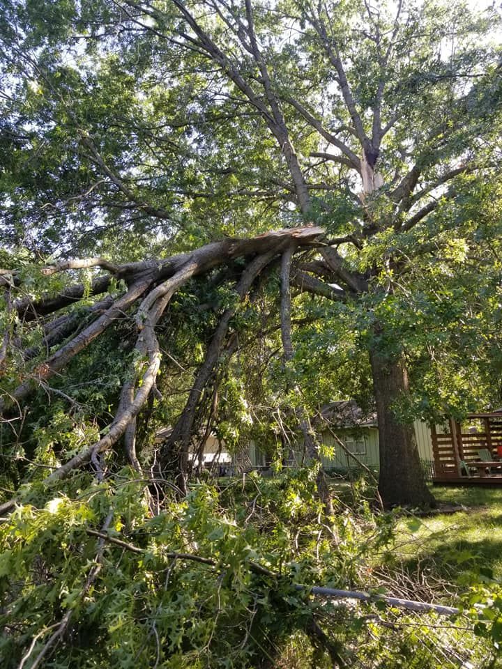 A large tree has fallen on top of a house.