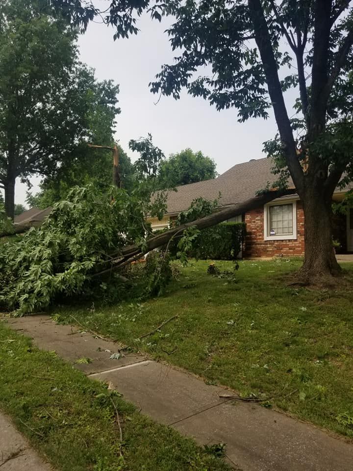 A tree has fallen on the roof of a house.