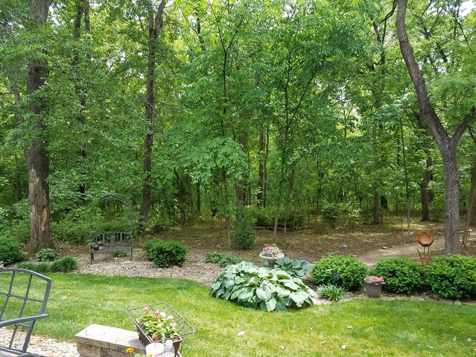 A lush green yard with trees and bushes in the background.