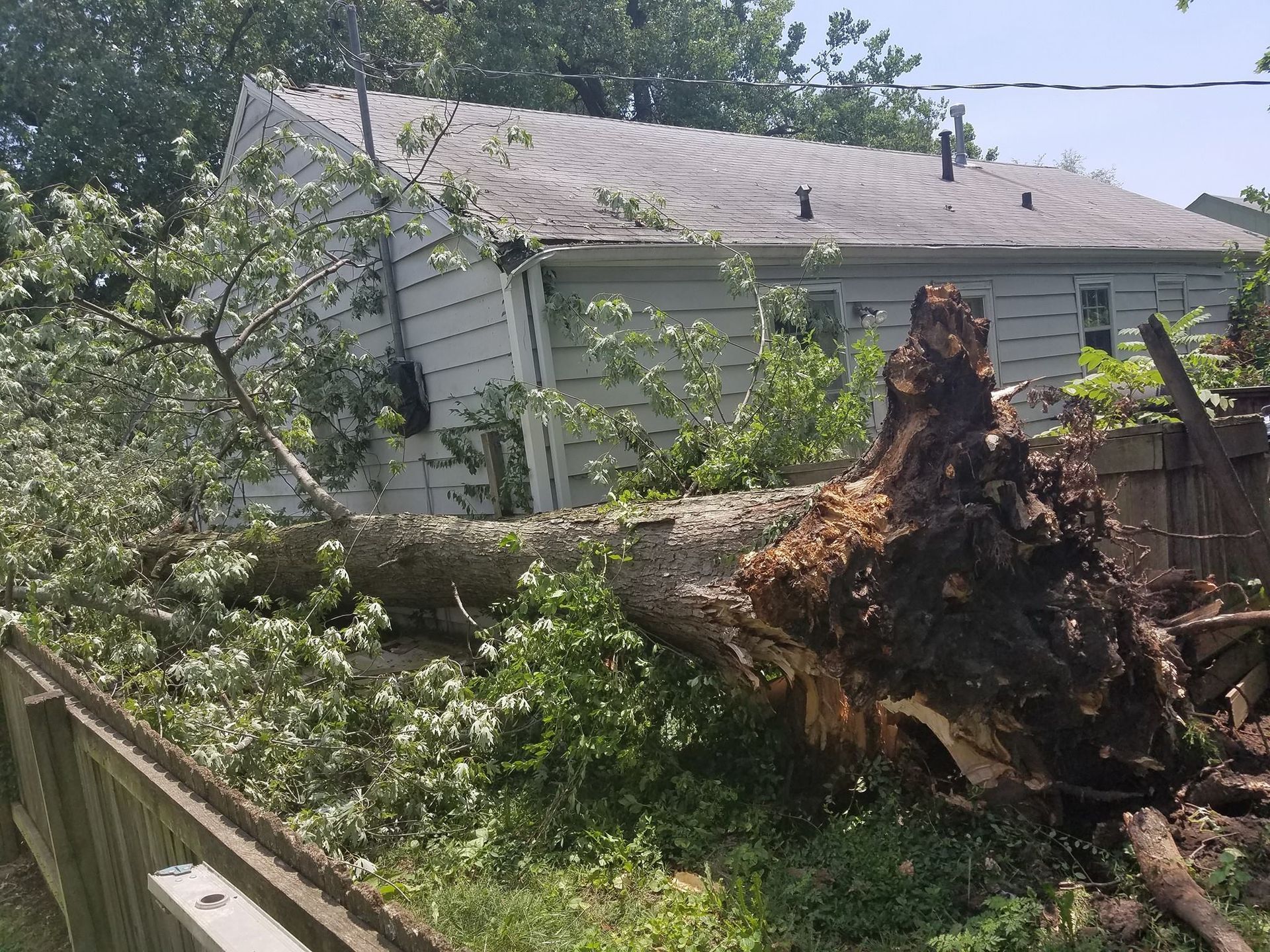 A large tree stump is sitting in front of a house.