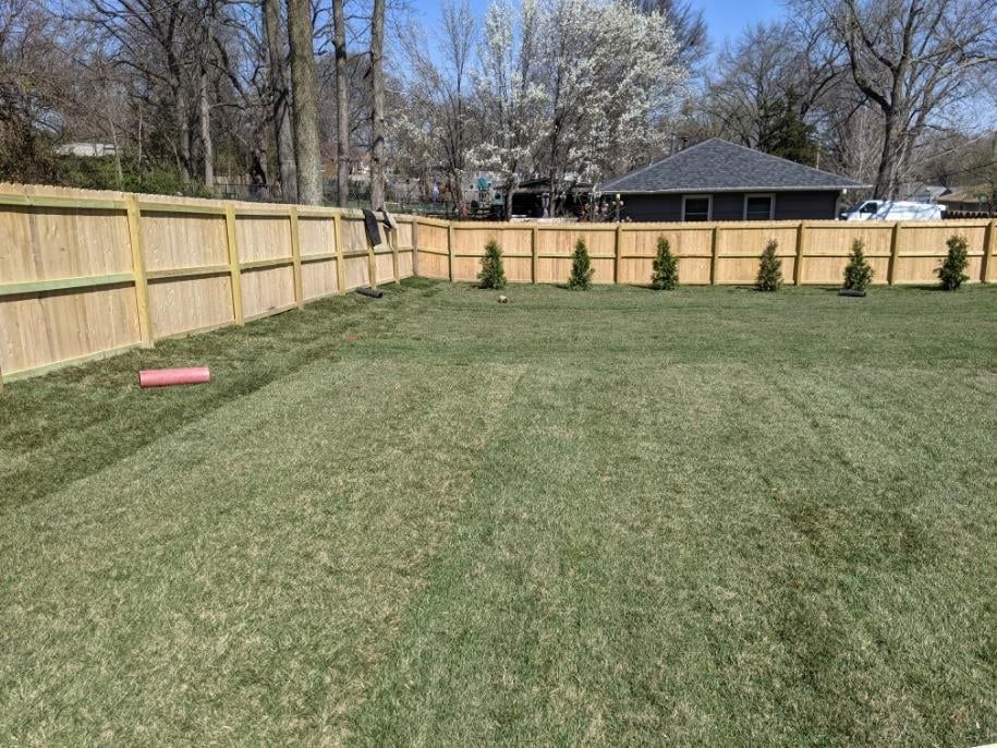 A wooden fence surrounds a lush green lawn in a backyard.