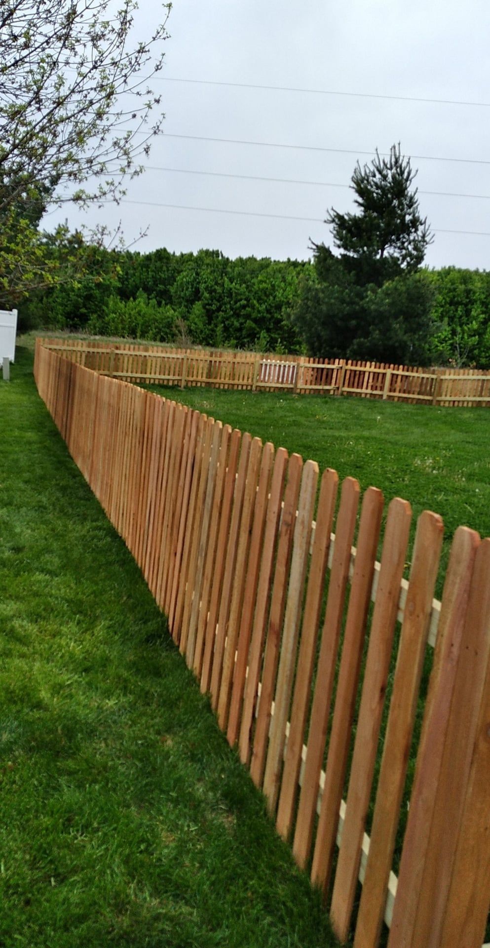A wooden picket fence surrounds a lush green field.