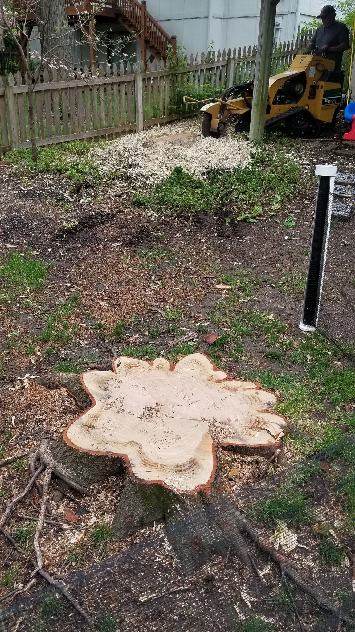 A large tree stump is sitting in the middle of a grassy field.