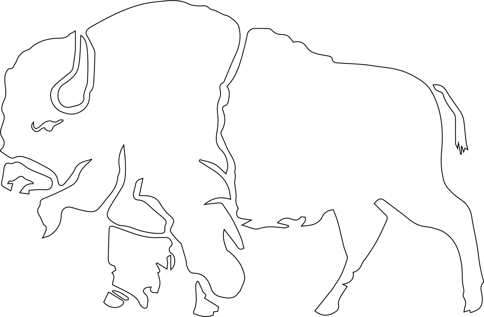 The White Buffalo Hotel About