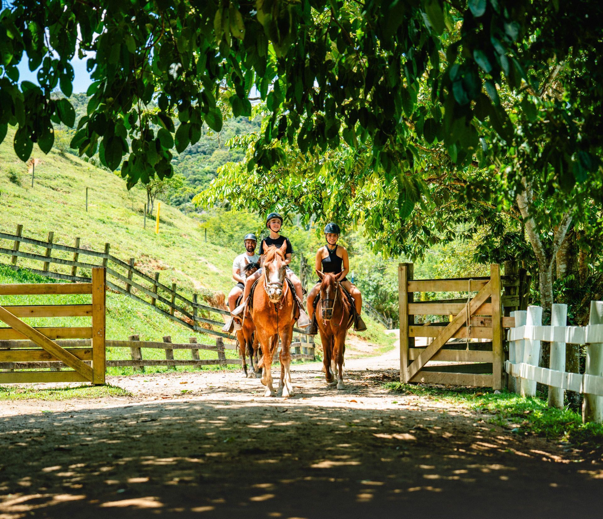 Dois cavaleiros passando a cavalo por um portão de fazenda sob as árvores em um dia ensolarado.