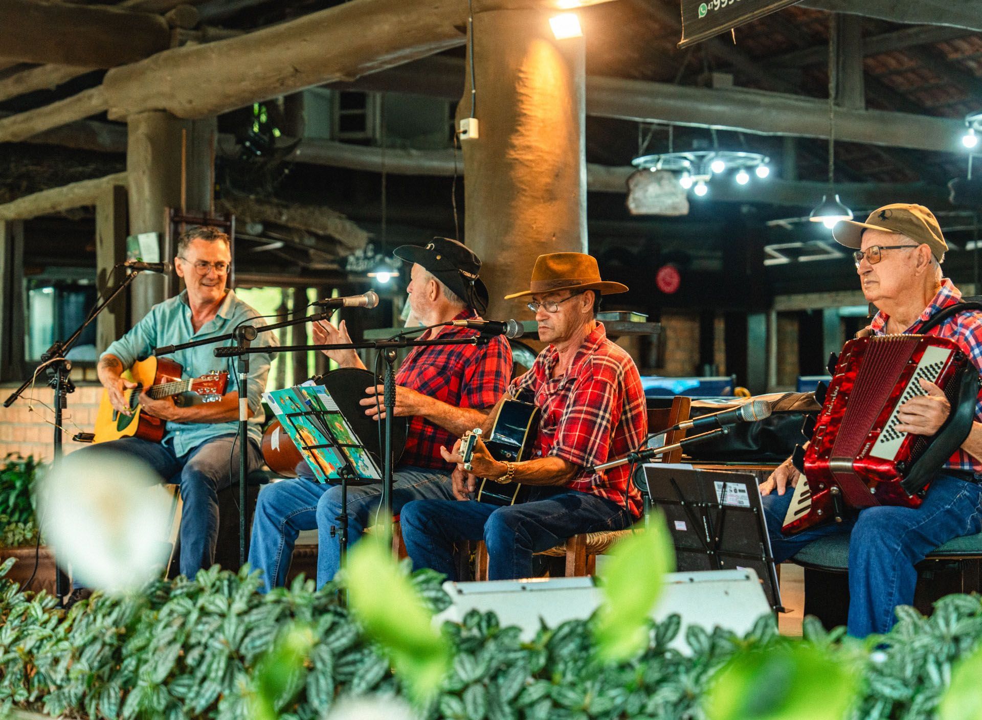 Banda ao vivo se apresentando ao ar livre, com guitarra, violino e acordeão sob luzes aconchegantes.