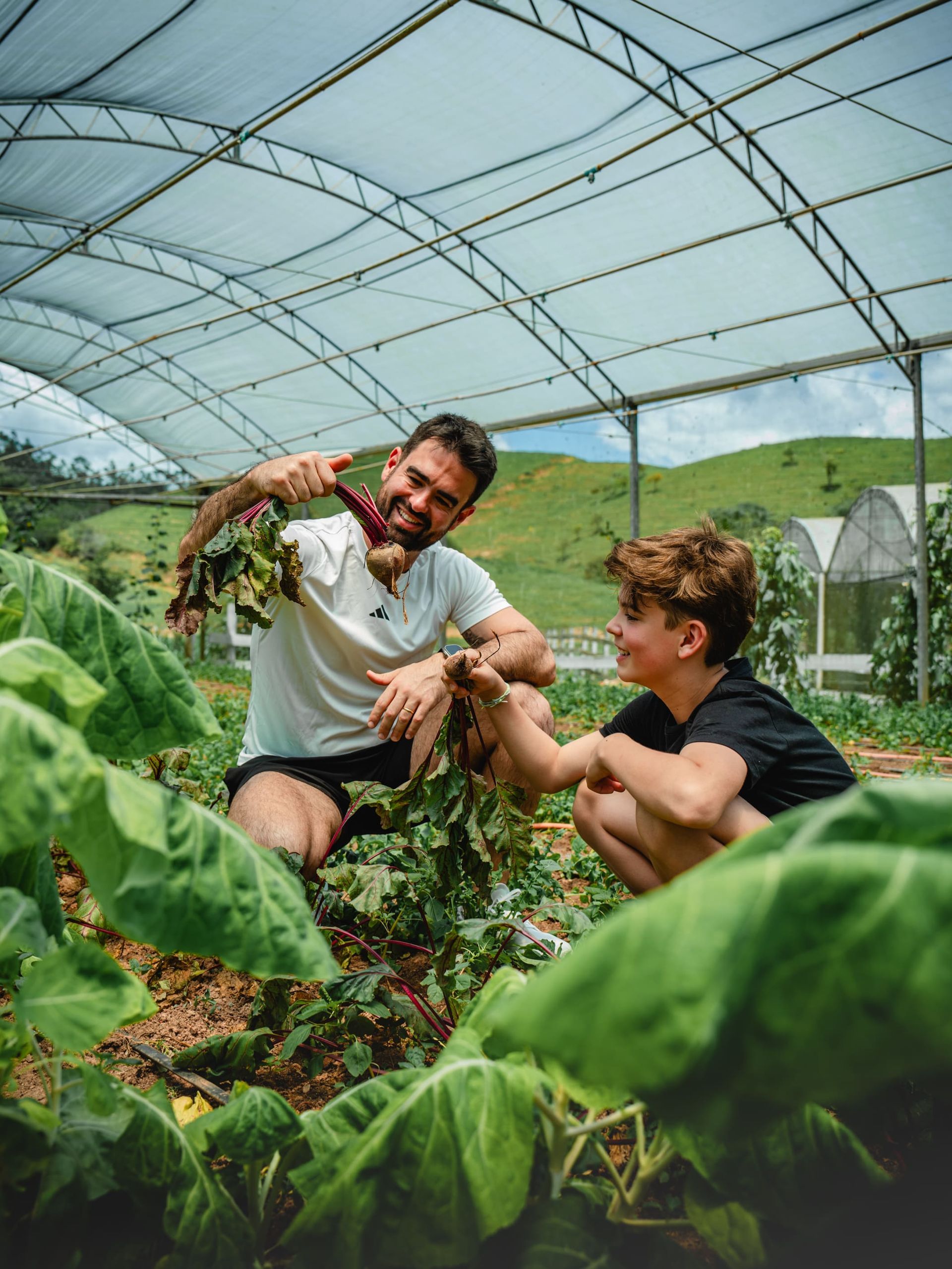 Duas pessoas colhendo verduras em uma estufa, cercadas por fileiras de legumes.