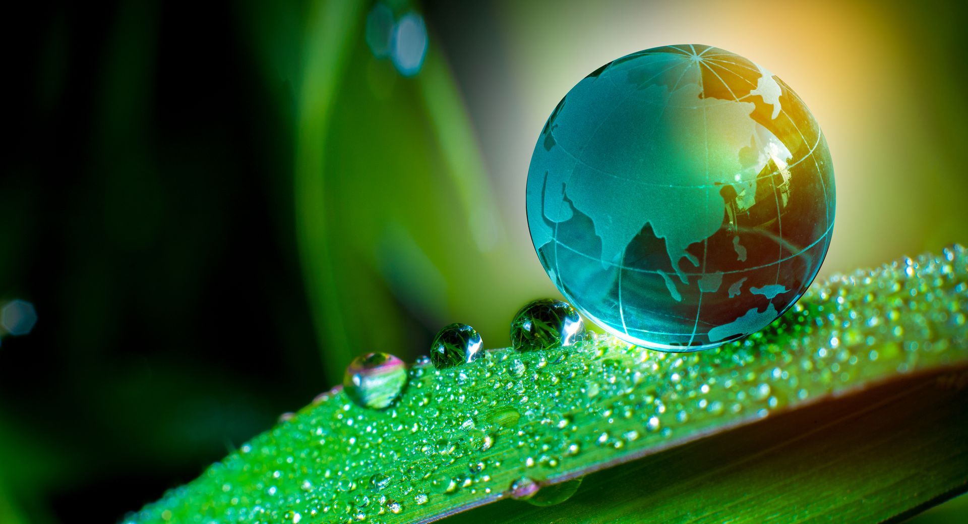 O que é um Sistema de Gestão Ambiental (SGA) e por que implementá-lo O que é um Sistema de Gestão Ambiental (SGA) e por que implementá-lo