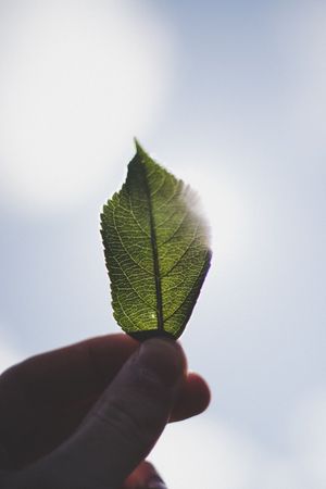 Software de Legislação Ambiental e Saúde Ocupacional Software de Legislação Ambiental e Saúde Ocupacional