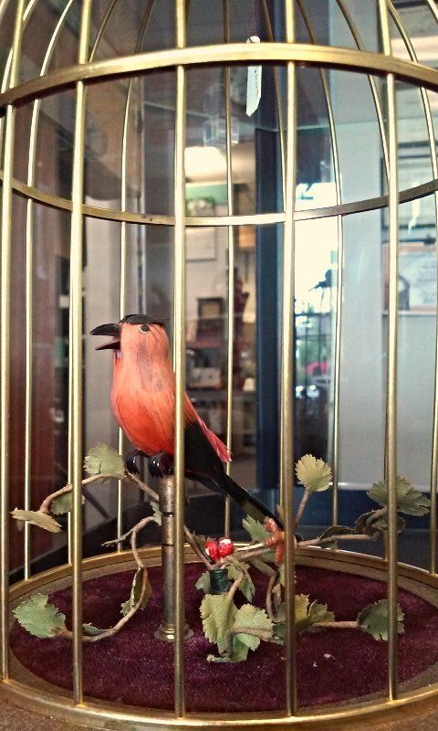 Antiques  Watch Repair — Musical Bird Cages in Orlando, FL