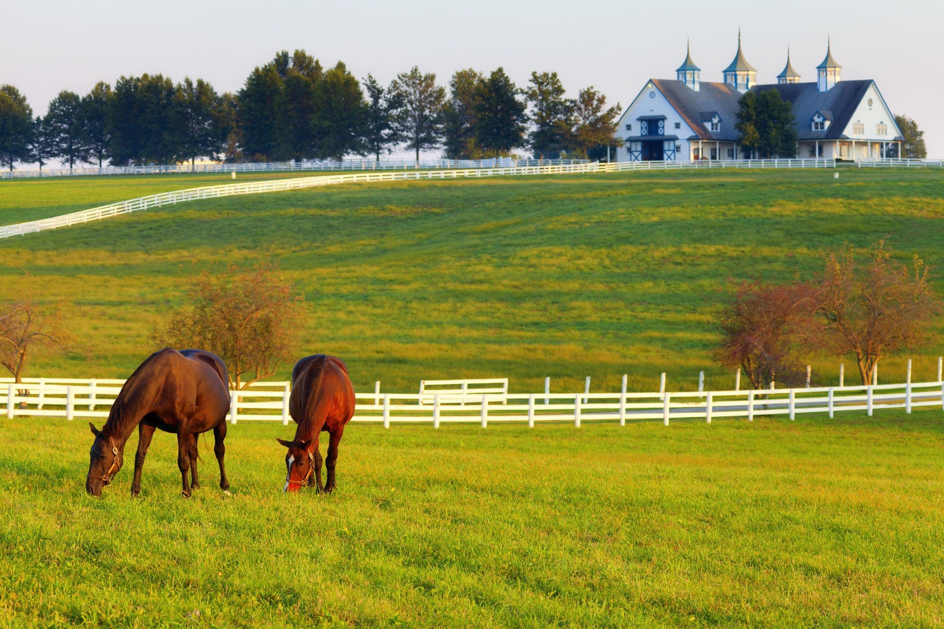 Pasture Care in Nashville, TN Pasture Care in Nashville, TN