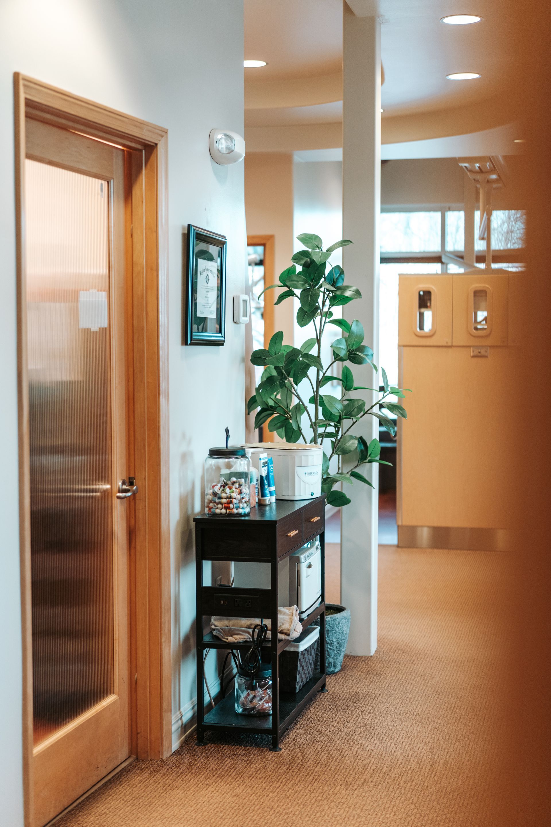 Hallway with a wooden door, black shelving unit with plant and decor, and neutral carpet.