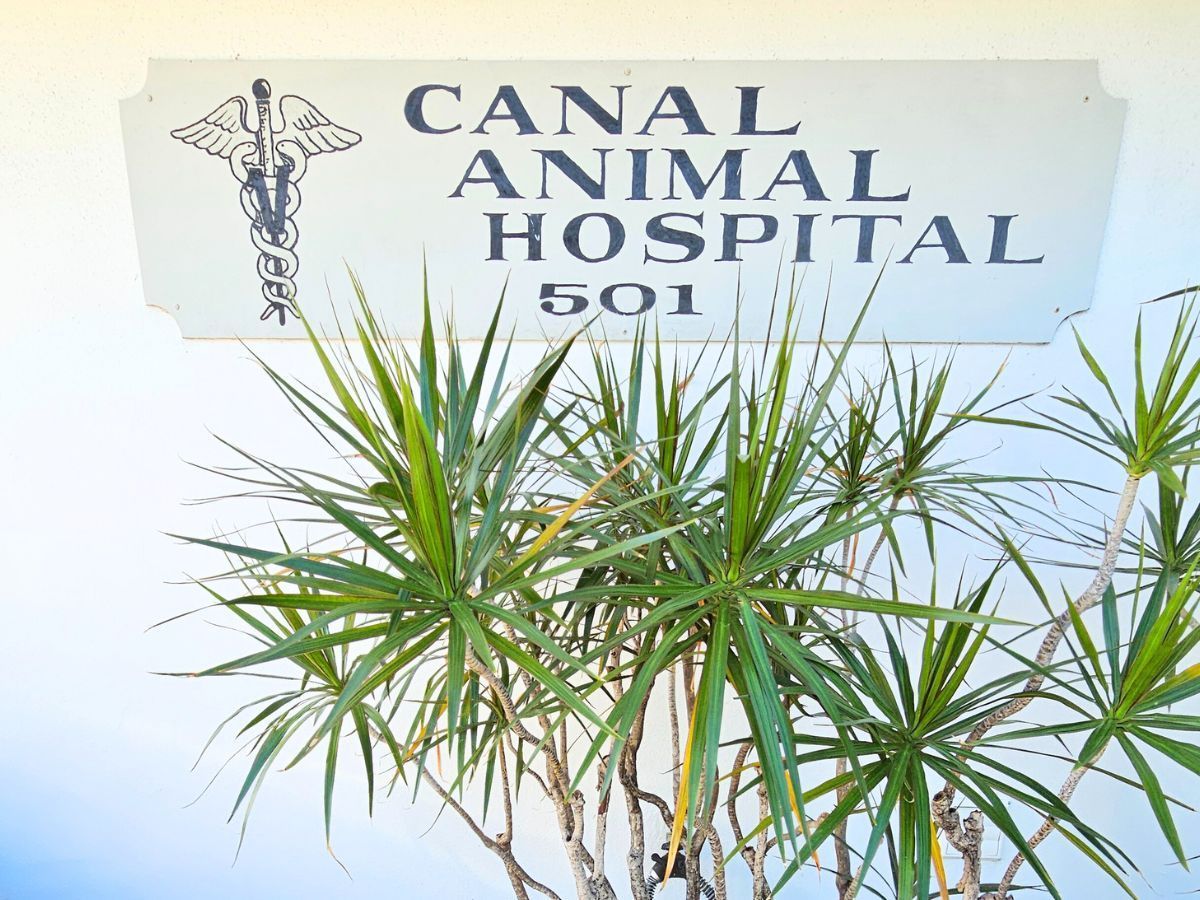 Logo on exterior wall