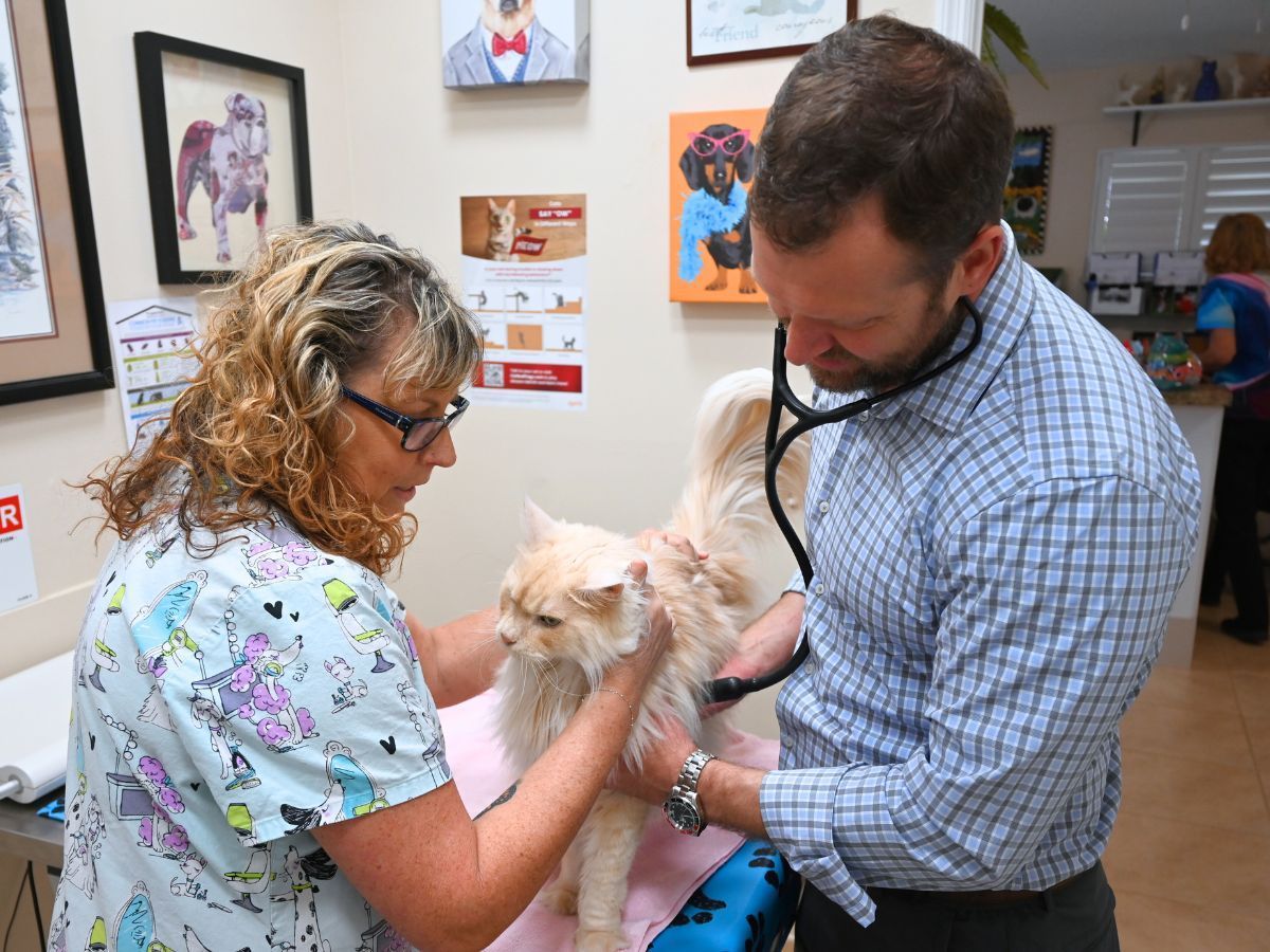 Dr. Dooley and tech listening to a cats heartbeat