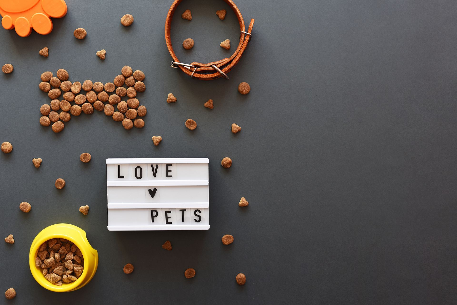 Food And Accessories — Lake Worth, FL — Canal Animal Hospital