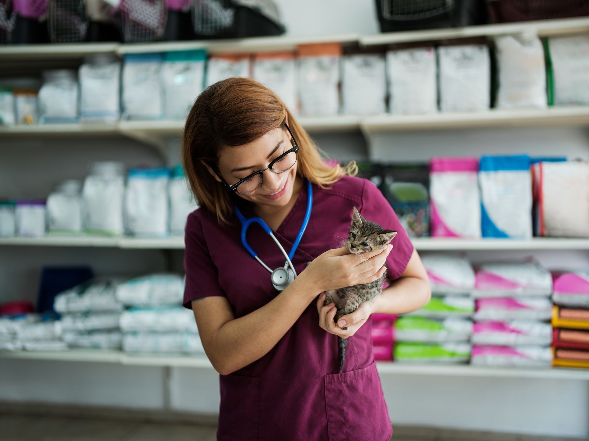 Female Vet Worker Holding Small Cat — Lake Worth, FL — Canal Animal Hospital