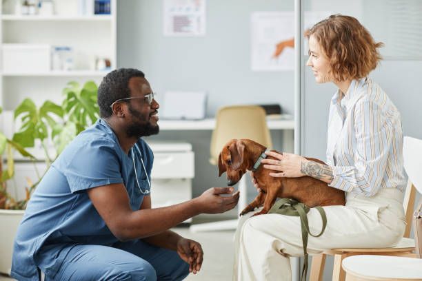 Pet Owner Consulting With Veterinarian — Lake Worth, FL — Canal Animal Hospital