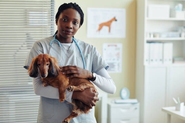 Black Young Woman Holding Dog — Lake Worth, FL — Canal Animal Hospital