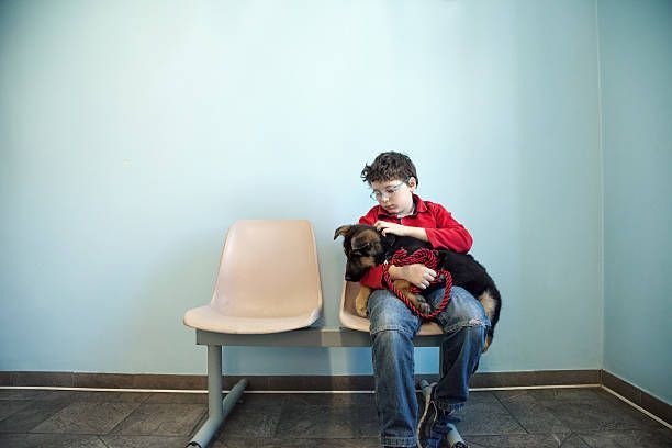 Child With Pet Dog In The Veterinary — Lake Worth, FL — Canal Animal Hospital