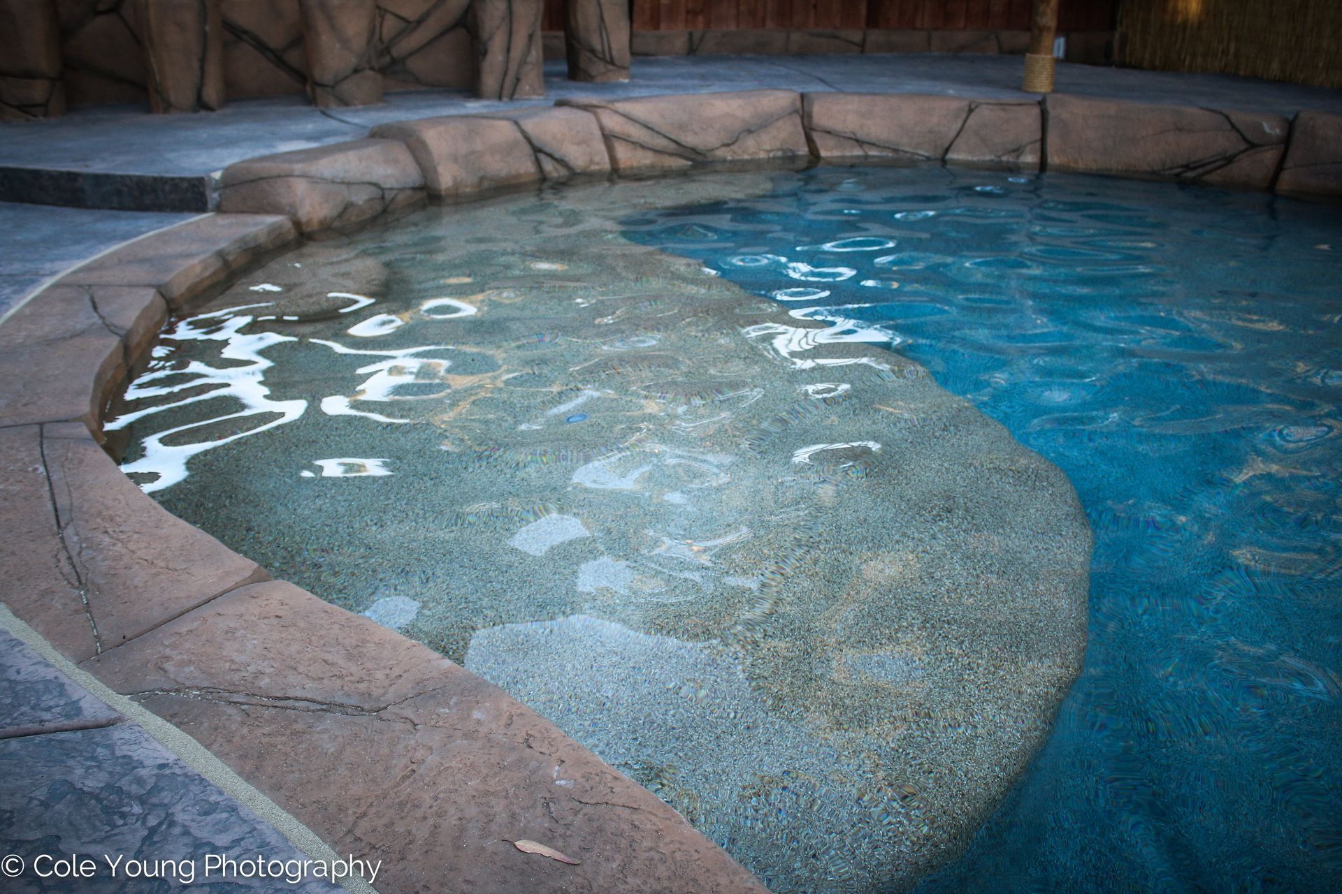 A rocky, curved stone tanning ledge extends into a blue swimming pool in a patio setting.