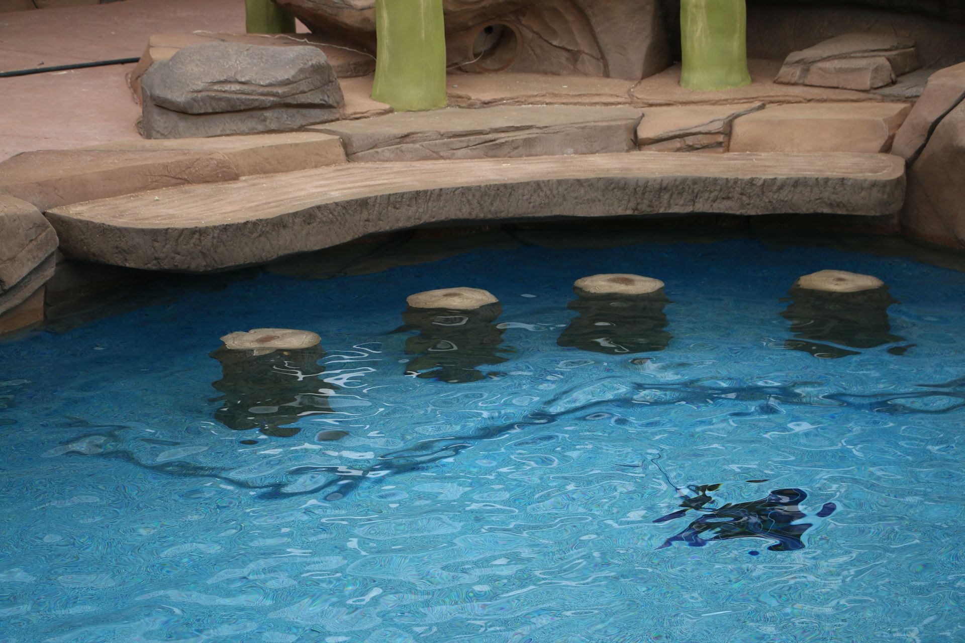 A swimming pool featuring a built-in stone bar with four submerged stools and a stone countertop.