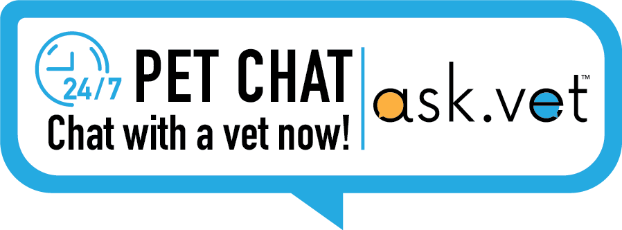 Free live chat vet
