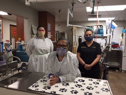 Our Hospital Petroglyph Animal Hospital