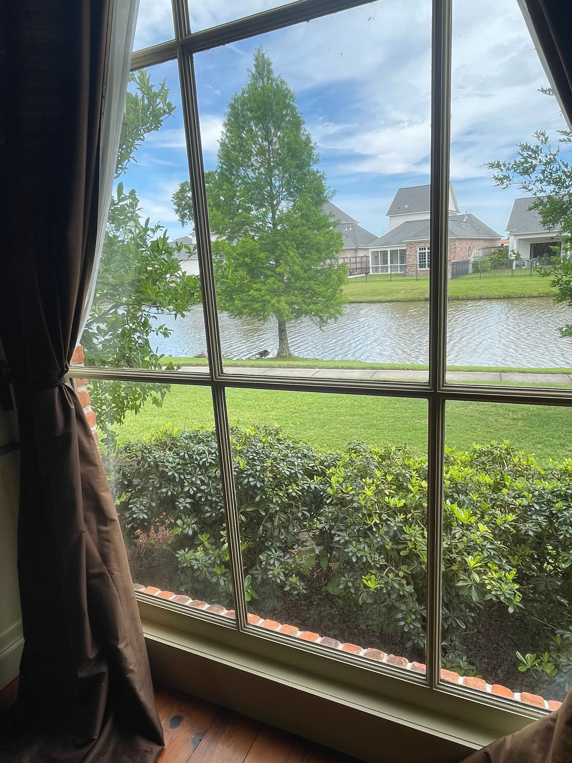 View through a window of a pond, hedge, and houses under a blue sky.