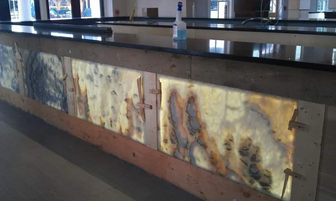 A hallway in a house with a door and two windows.