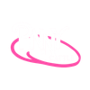 PNNY Cattle Logo