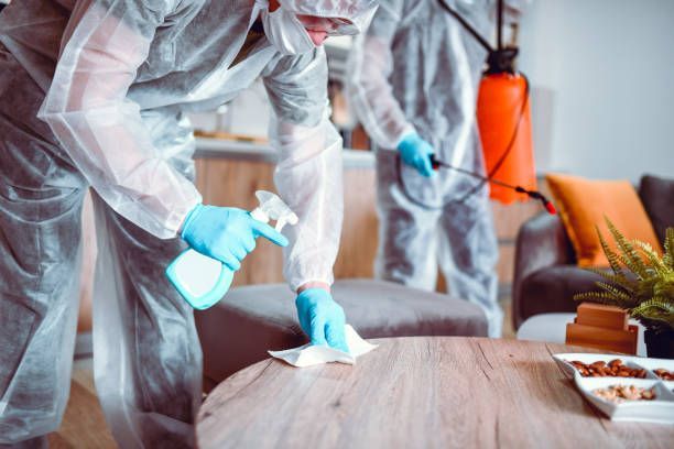 Worker in protective suit disinfecting a sofa with a spray bottle inside a room