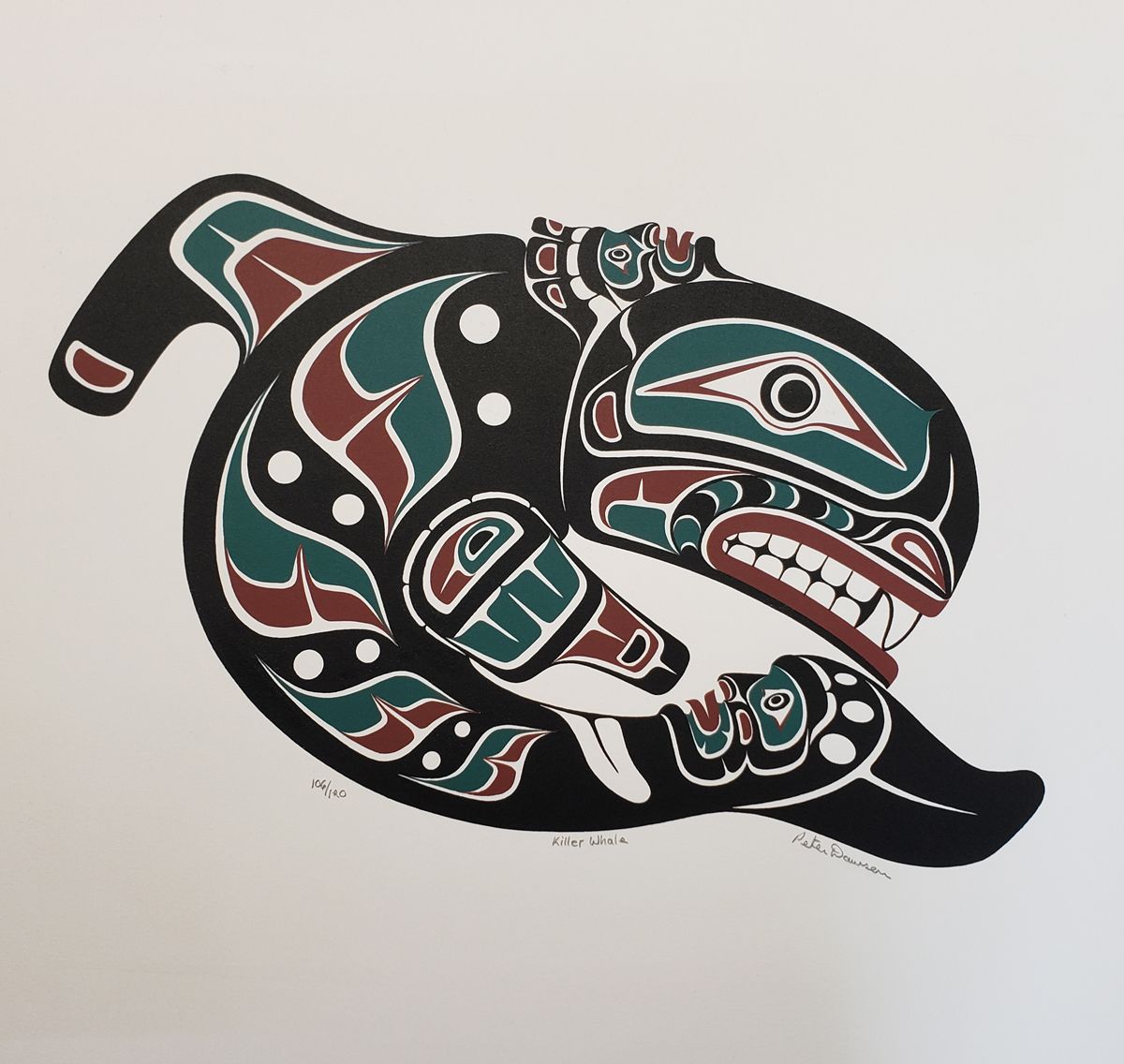 Peter Dawson killer whale print