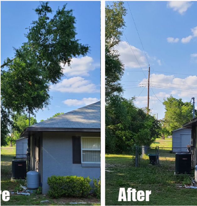 Trees and clouds divide a grassy area with a running track under a bright blue sky.