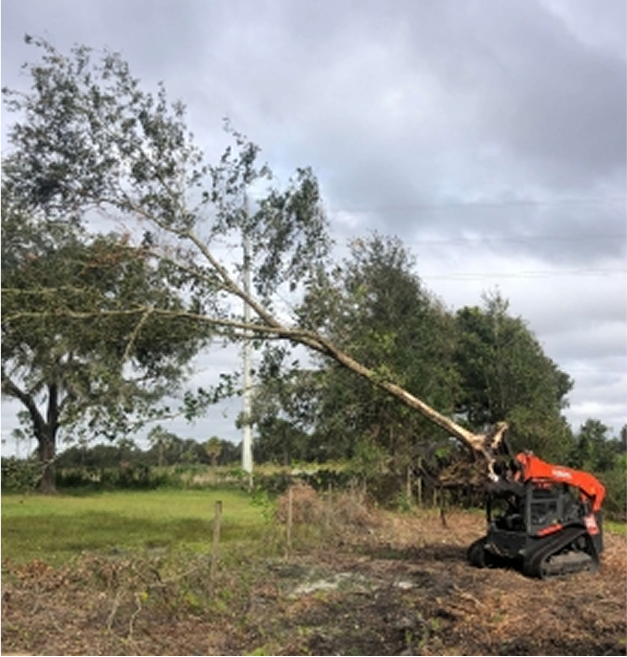 Trees and clouds divide a grassy area with a running track under a bright blue sky.