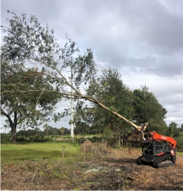 Trees and clouds divide a grassy area with a running track under a bright blue sky.