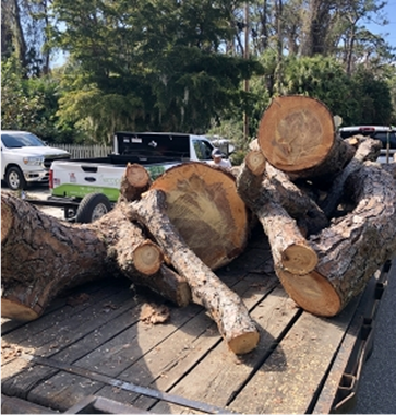 Trees and clouds divide a grassy area with a running track under a bright blue sky.