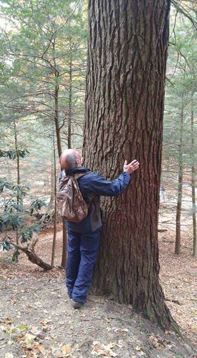 image-435073-Arborist3-min.jpg image-435073-Arborist3-min.jpg
