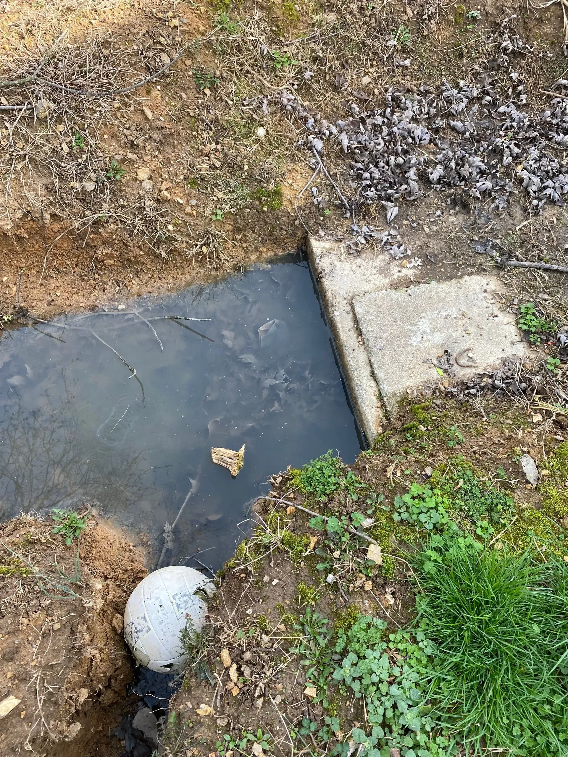 A drain is being installed in the ground next to a concrete slab.