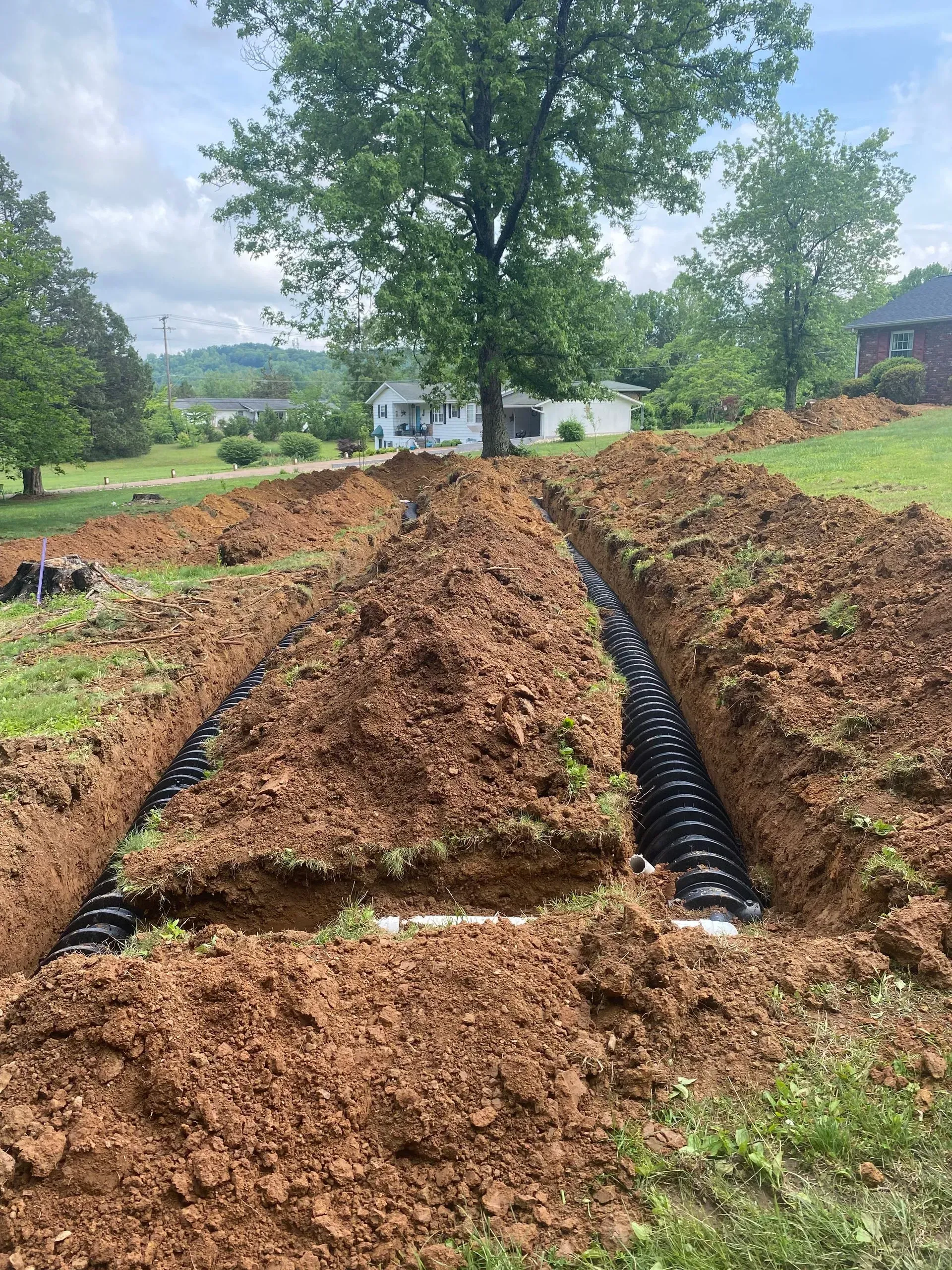 A septic system is being installed in a yard next to a tree.