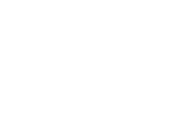 Arevalo Air LLC Arevalo Air LLC