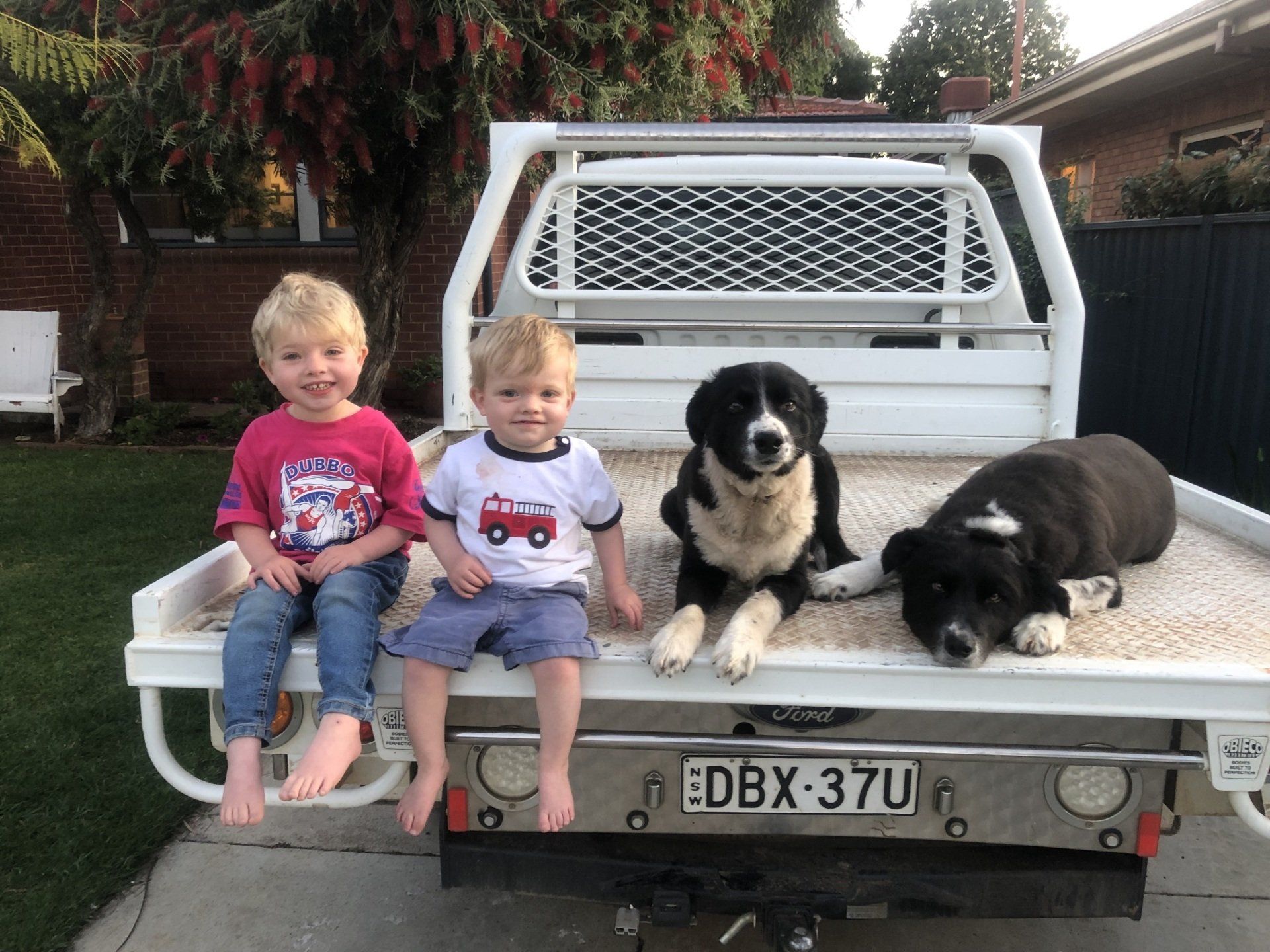 Two children and two dogs are sitting on the back of a truck.